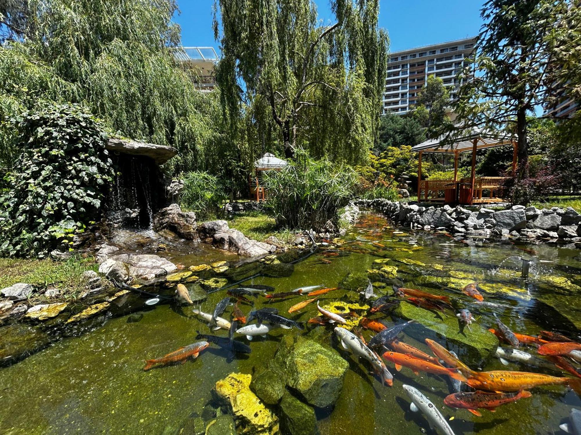 Cемейный Номер С Балконом На 4 Чел Dreamland Oasis Chakvi Eksteriør billede